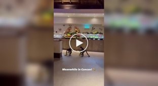 A daring robbery of a cafe in Cancun