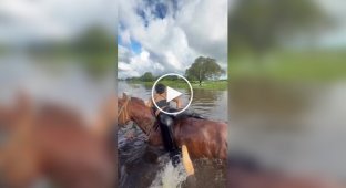 Девушка дружит с животными - и с тобой подружится