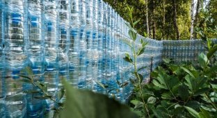 Король полторашек: новосибирец построил стену из пластиковых бутылок из-под «Карачинской» (8 фото)