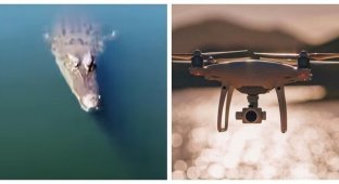 В сеть попала запись с дрона, съеденного крокодилом (3 фото + 1 видео)