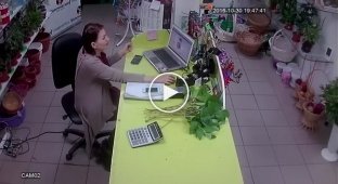 Быстрое ограбление цветочного магазина 