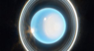The James Webb telescope sent a photo of Uranus to Earth (6 photos)