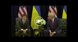 Зеленский попросил Трампа помочь с возвращением Крыма, но тот его проигнорировал
