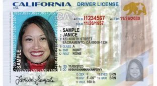California's new driver's license contains a digital feature that only a limited number of people will notice (1 photo)