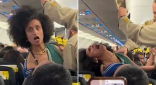 A distraught American woman staged a performance on a plane (3 photos + 1 video)