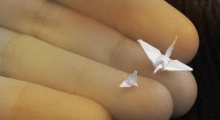 Мини-оригами (13 фото)
