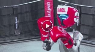 Humanoid robots entered the boxing ring in China