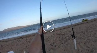 Австралийский рыбак поймал на удочку крупного групера