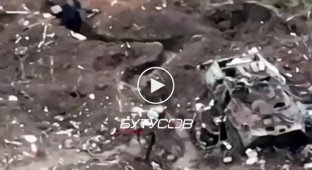 Дрон-камикадзе поражает блиндаж орков под их уничтоженным БТР-82А