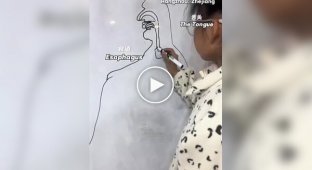 Школьница придумала необычный способ учить биологию