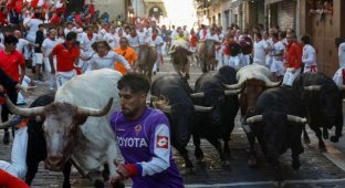 Как испанцы бегают от быков и как прошел главный фестиваль Памплоны (18 фото)