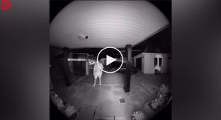 Мужчина так напился, что заснул прямо на пороге дома