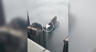 Beautiful and amazing (short videos). Release 62