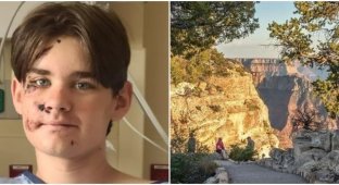 Мальчик чудом выжил после падения в Большом каньоне (5 фото)