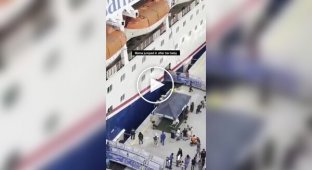 Во Флориде мать спасла четырехлетнюю дочь, упавшую между круизным лайнером и пирсом