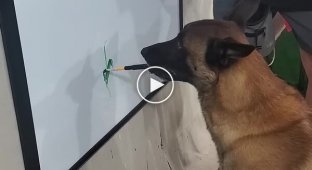 Талантливая собака рисует картины