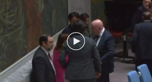 What a useless organization: briefly about the UN meeting