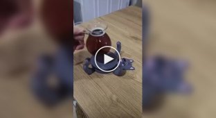 Забавные подставки для чашек