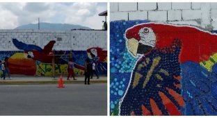 Жители Гуатире собрали 300 000 бутылочных крышек для украшения города (6 фото + 1 видео)
