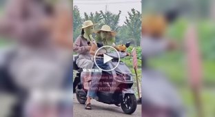 The Chinese have found an unconventional way to protect their faces from the sun