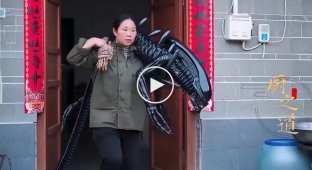 Китайцы готовят ксеноморфов