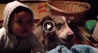 Пес ради лакомства выучил слово «мама» раньше ребенка