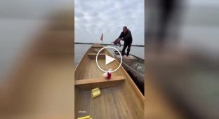 Ной 2025: мужчина показал, как проходят его заплывы в лодке с котиками и голубем