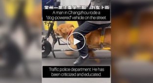 Літній чоловік використовував вихованця для їзди на електровелосипеді