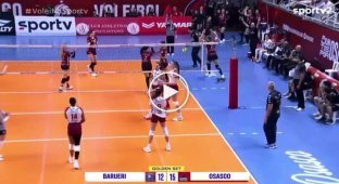 Опоссум выбежал на волейбольную площадку