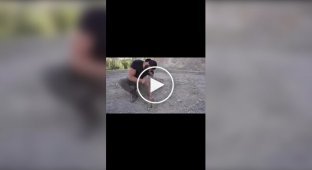 Як закип'ятити чайник