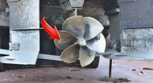 Why the ship's propeller is destroyed (6 photos)