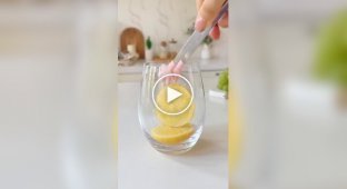 Забавная форма для льда