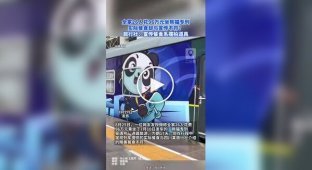 Китайская семья потратила большую сумму денег на роскошный поезд в стиле панды и осталась разочарована
