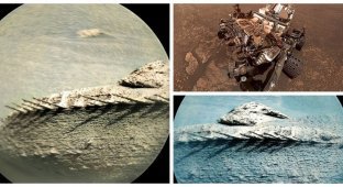 On Mars noticed an unusual stone, similar to the ridge of a fish (9 photos)