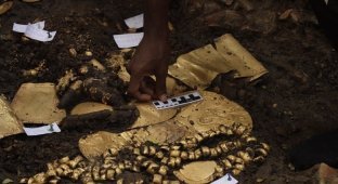 Tomb with gold and ceramic artifacts discovered in Panama (5 photos)