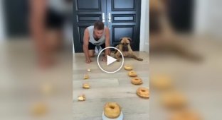 Fun donut competition