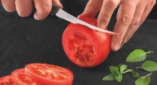 Ножи Tramontina – бразильская точность на вашей кухне