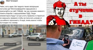 "Раньше за такое били лицо!": жители Таганрога возмутились предложению "стучать" на нарушителей ПДД (5 фото)