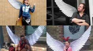 Ангелы в Окленде (12 фото)