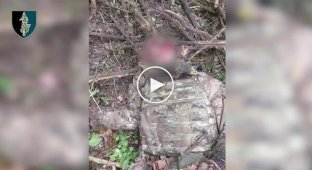 Силы спецопераций уничтожили на Курщине группу российских морпехов, еще двое оккупантов сдались в плен
