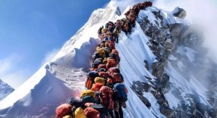 A huge traffic jam of climbers has formed on Everest (4 photos + 1 video)