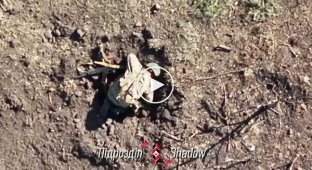 Kamikaze drone eliminated Russian soldier pretending to be dead