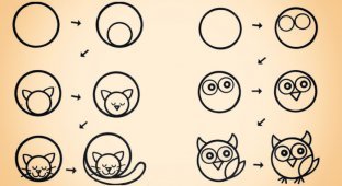 Как научить ребёнка рисовать животных из кругов (6 фото)
