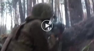 Shooting battle in Serebryansky forest, Lugansk region from the first person of a Ukrainian military man