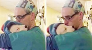 Ветеринар успокаивал щенка после операции как маленького ребенка (3 фото)