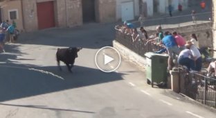 An angry bull ran up to the car in which there were people and began to destroy it