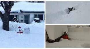 Город Буффало в штате Нью-Йорк переживает снежный армагеддон (26 фото)