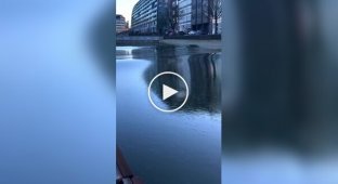 Волны ломают лед