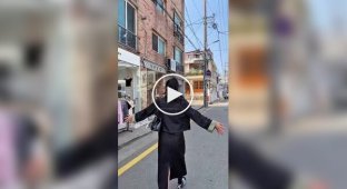 Кафе с настоящим скелетом динозавра
