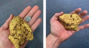 Австралию, после обнаружения там огромного самородка, охватила самая настоящая золотая лихорадка (5 фото)